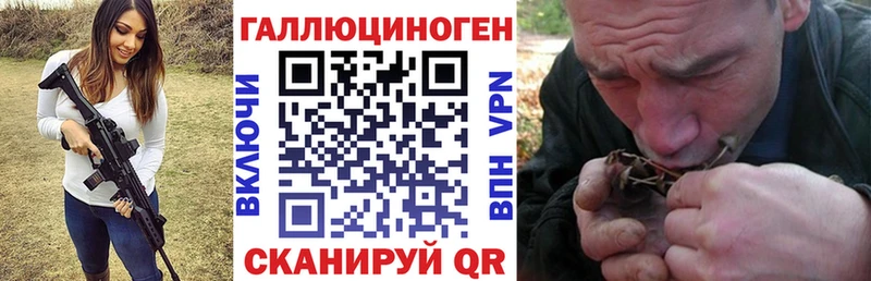 закладка  Ярославль  Псилоцибиновые грибы Psilocybe 